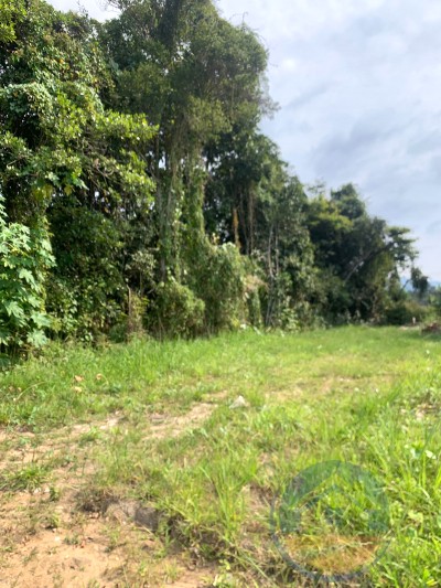 Terreno para  em Peruíbe